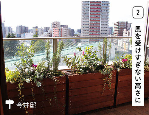 ベランダdiy ガーデニング編 初心者でもおしゃれに マンションでも狭くても大丈夫 おすすめの植物はコレ 年11月12日 エキサイトニュース 2 5