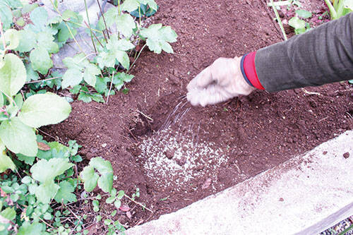 庭diy ガーデニングの土づくり 基本とコツ 花壇用と鉢植え用には腐葉土と赤玉土 水はけのよい良質な土を作ろう 年11月18日 エキサイトニュース 3 3