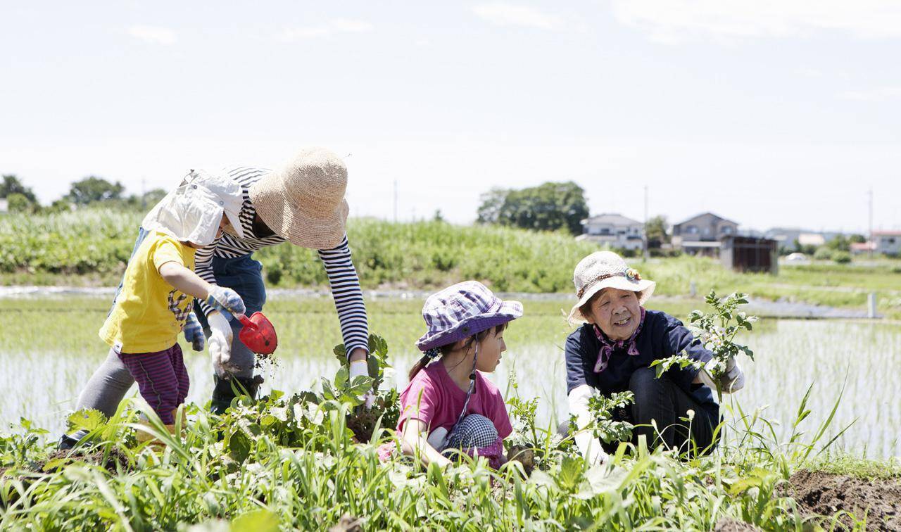 家庭菜園の基本 初心者向け 野菜栽培 の始め方 野菜づくりの基本を教えます 年12月29日 エキサイトニュース