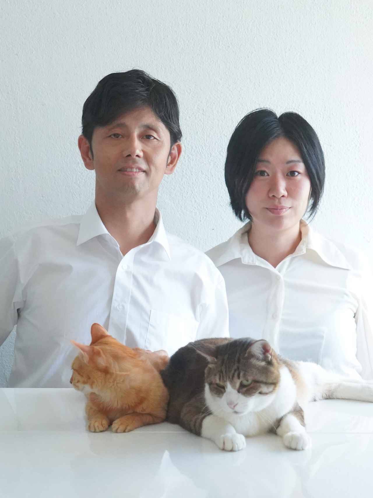 動物写真家ユリカメラが かわいい ネコの撮り方 教えます 19年7月30日 エキサイトニュース 6 6