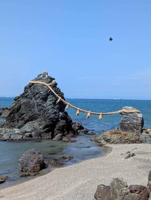 “白い綱”が生み出す一体感！伊勢神宮「式年遷宮」の民俗行事「お木曳」を住吉美紀が現地で体験！