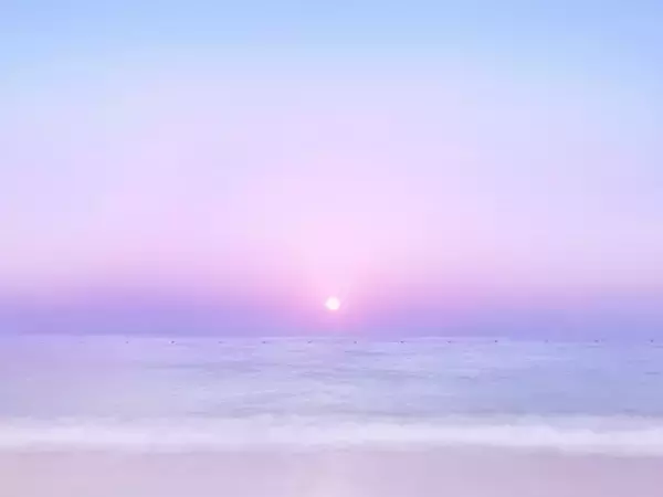 【四柱推命＊今月の運勢】2026年1月の運勢「12月生まれ」（誕生日：12月7日～1月4日生まれ）のあなたの運気は？【月運占い】