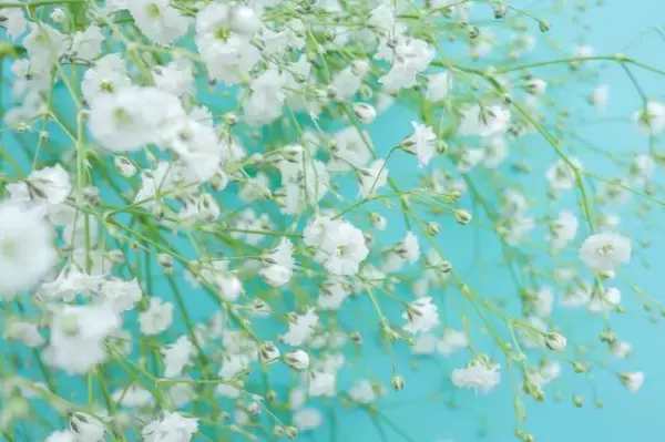 今日の運勢は？ ★11月3日（月・祝）12星座占いランキング！ 第1位は射手座（いて座）！ あなたの順位は何位…!?