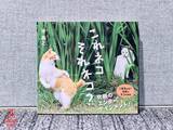 「猫写真家・沖昌之 フォロワー80万人のSNS投稿を続ける理由「毎日1枚上げれば、世界の誰かが幸せになる」」の画像2
