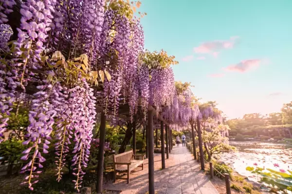 【四柱推命占い】～4月30日（木）までの運勢「10月生まれ」（誕生日：10月8日～11月6日生まれ）のあなたの運気は？