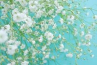 今日の運勢 5月2日（土） 12星座占いランキング第1位は蠍座（さそり座）！ あなたの星座は何位…!?