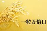 「借金、ケンカ、浪費はNG！ 4月11日は「一粒万倍日」運気を下げる行動と、未来を輝かせる過ごし方」の画像1