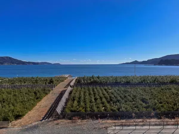 「東日本大震災を知らない世代が増えている？」震災15年で直面する“感情の継承”と、2026年から始まる「第3期復興」とは？