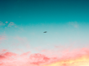 【四柱推命＊今月の運勢】2026年1月の運勢「8月生まれ」（誕生日：8月7日～9月6日生まれ）のあなたの運気は？【月運占い】