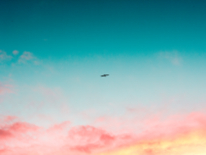 【四柱推命＊今月の運勢】2026年1月の運勢「8月生まれ」（誕生日：8月7日～9月6日生まれ）のあなたの運気は？【月運占い】