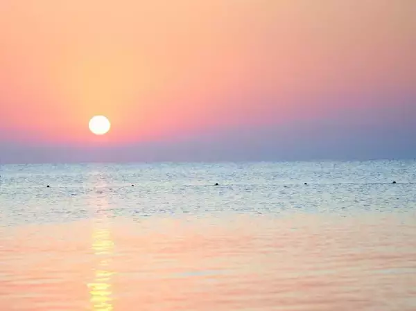 【四柱推命占い】～4月30日（木）までの運勢「11月生まれ」（誕生日：11月7日～12月6日生まれ）のあなたの運気は？