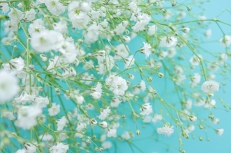 今日の運勢は？ ★2026年2月9日（月）12星座占いランキング！ 第1位は蠍座（さそり座）！ あなたの順位は何位…!?