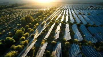 バングラデシュで深刻化する電力不足と大気汚染 SDSホールディングスが挑む「太陽光発電」100メガワット級開発