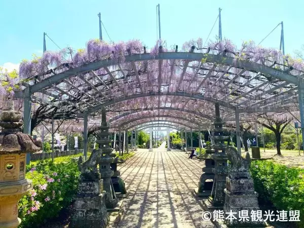 「「夫が熊本に惚れ込んで…」東京から夫婦でUターン移住した妻が語る“移住を決意した理由”とは？「私自身は当たり前と思っていた風景に感動して」」の画像