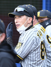 阪神打線が上昇ムード　３～６番で６打点も…矢野監督「欲を言えば、もうちょっと取れるところが…」