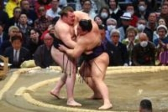 【大相撲】安青錦　綱取り場所で２日目黒星にも冷静「相撲内容は悪くない。またいつも通りやりたい」