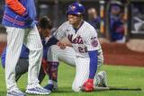 「【ＭＬＢ】最下位メッツにまた激震　復帰したソトがアクシデントで途中交代の悪夢「呪われている」」の画像1