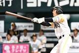 「【ソフトバンク】山本祐大〝まだ単身赴任〟ながらも移籍１号「いつもとは違った感じ」」の画像1
