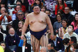 「【大相撲】大の里が横綱初の連敗発進　高田川審判長「腰が入っていない。軽くなっている感じ」」の画像1