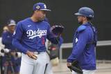 「【ドジャース】守護神ディアス大乱調…ブルペン崩壊の悪夢再来か「スコットをほうふつ」＝米報道」の画像1