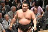 「【大相撲】霧島　来場所は条件付きで綱取り　浅香山審判部長「レベルの高い優勝が求められる」」の画像1