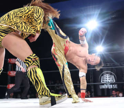 【ノア】丸藤正道　ＬＴＪ若手に〝道場オファー〟の真意…師匠格の内藤哲也＆BUSHIには苦言