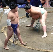 【大相撲】琴桜　急失速でＶ争い後退…部屋の大先輩は苦言「負けて四股を踏むぐらいなら…」
