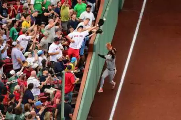 【ＭＬＢ】敵地ファンの捕球妨害でジャイアンツ選手が負傷退場「滑稽なほど不運な１年」＝米報道