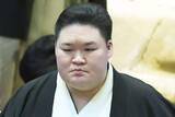 「【大相撲】元豪栄道の武隈親方　入門前の分岐点を回想「本当に相撲を辞めようと思っていた」」の画像1