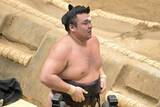 「【大相撲】霧島　２横綱２大関不在で平幕相手に３敗…親方衆が指摘「大関として物足りない」」の画像1