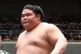 「【大相撲】伯乃富士が７日目から再出場　春場所前に師匠・伊勢ヶ浜親方から暴力被害」の画像1