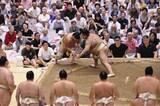 「【大相撲】高安　夏巡業に途中合流も左脚痛める「秋場所まで３週間ぐらいなのでどうにかしたい」」の画像1