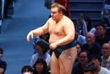 「【大相撲】安青錦　大関復帰へあと６勝　気温３７度の〝灼熱地獄〟にも「暑い方が体が動きやすい」」の画像1
