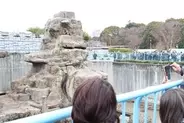 パンチくんのサル山に侵入者「２名を警察官に引き渡しました」市川市動植物園は一時騒然