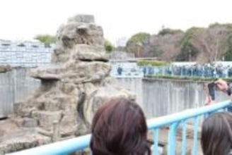 パンチくんのサル山に侵入者「２名を警察官に引き渡しました」市川市動植物園は一時騒然