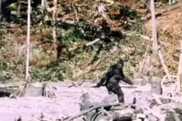 米オハイオ州ポーテージ郡で５日間で６件のビッグフット目撃「非常に興奮している」