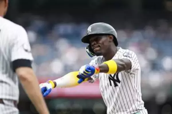 【ＭＬＢ】ヤンキースの〝お騒がせ男〟チザム　ルフィと重なる「アート好き」…知られざる楽曲作りのこだわり