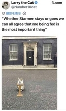 英首相官邸に住み着く猫のラリー　スターマー首相退陣騒動に「ごはんがもらえればいい」