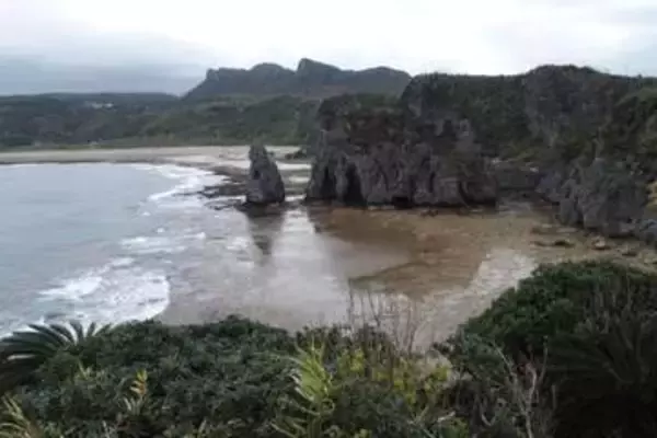 辺野古沖で船転覆…平和学習の女子高生含む２人死亡　疑問残る〝抗議船〟使用の経緯
