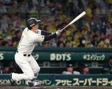 「【阪神】森下翔太が先発・茨木秀俊に捧げる先制弾「同期が頑張っているので…」」の画像1