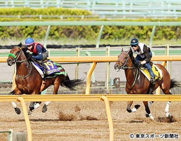 【日本ダービー・1週前追い】3戦3勝ブラストワンピース 1馬身 ...