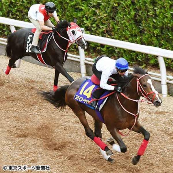 日本ダービー ステイフーリッシュ ２馬身先着に横山典 いい馬を任されたので結果を出したい 18年5月23日 エキサイトニュース
