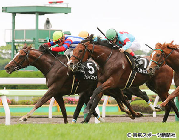 巴賞 後記 ナイトオブナイツ巻き返しｖ 函館記念の２０００メートルも大丈夫 2018年7月2日 エキサイトニュース