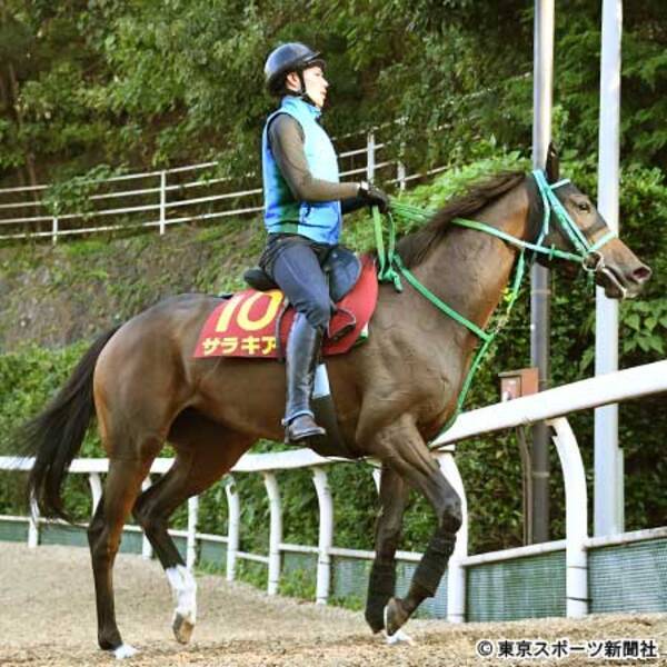 秋華賞 サラキア いい脚を使ってくれる馬なので楽しみ 18年10月9日 エキサイトニュース