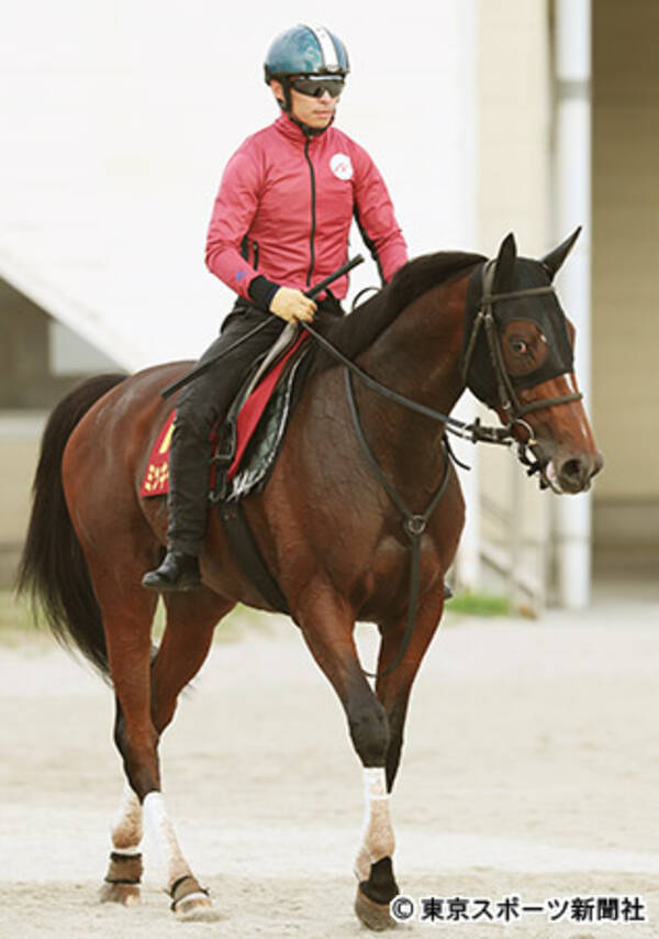 秋華賞 血統調査 ミッキーチャーム 未知の魅力十分 18年10月11日 エキサイトニュース