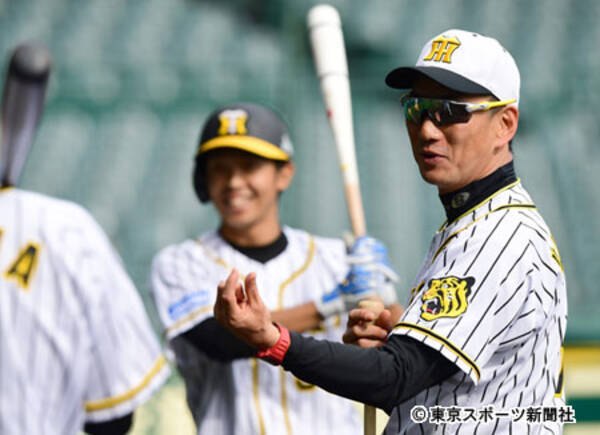 阪神 金本監督 ラスト采配に気負いなし 愛弟子へ 普通にやればいい 18年10月12日 エキサイトニュース