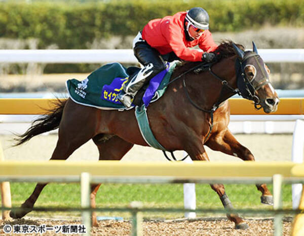 高松宮記念 セイウンコウセイ ウッドラスト１２ ５秒 展開がうまくかみ合えば 19年3月日 エキサイトニュース