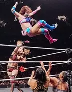 ハルク ホーガンの弟分 ザ バーバー ブルータス ビーフケーキがwwe殿堂入り 19年4月2日 エキサイトニュース