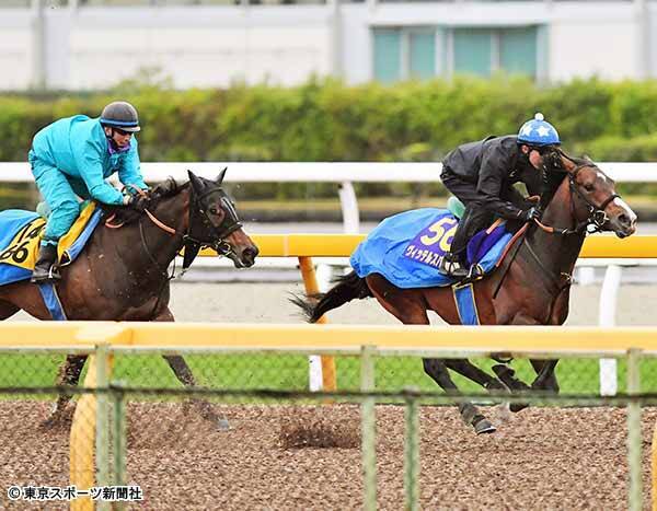 ｎｈｋマイルｃ ヴィッテルスバッハ 鋭い反応で２馬身先着 短期間ですごく良くなっている 19年5月1日 エキサイトニュース