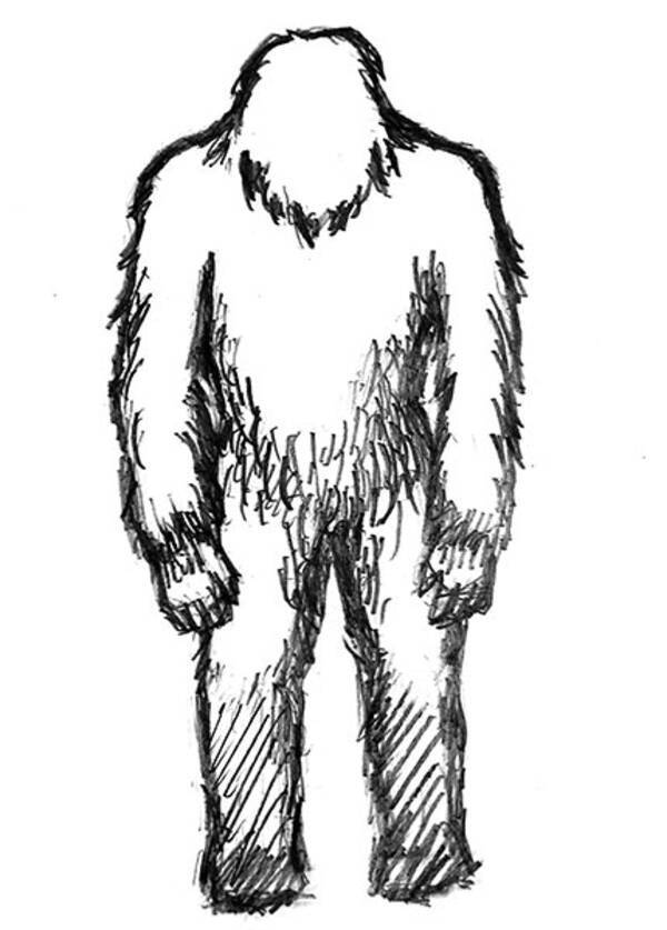 日本人男性がヒマラヤで目撃した体長１５０センチの異形イエティ 19年5月14日 エキサイトニュース
